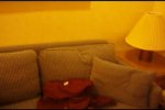 Interior Stateroom Picture