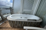 Signature Suite Stateroom Picture