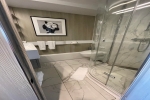 Verandah Stateroom Picture