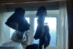 Oceanview Stateroom Picture