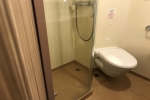Deluxe Oceanview Stateroom Picture