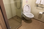 Deluxe Oceanview Stateroom Picture