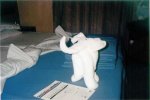 Oceanview Stateroom Picture