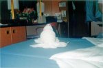Oceanview Stateroom Picture