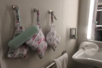 Interior Stateroom Picture