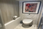 Sky Suite Stateroom Picture