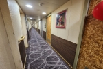 Signature Suite Stateroom Picture
