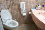 Oceanview Stateroom Picture