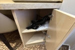 Verandah Stateroom Picture