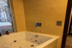 Signature Suite Stateroom Picture