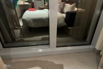 Sea Terrace Stateroom Picture