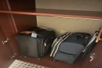Verandah Stateroom Picture