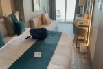 Verandah Stateroom Picture