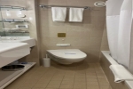Mini-Suite Stateroom Picture