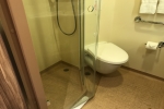 Deluxe Oceanview Stateroom Picture