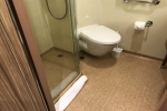 Deluxe Oceanview Stateroom Picture