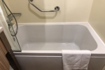 Deluxe Oceanview Stateroom Picture