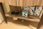 Oceanview Stateroom Picture