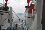 Full Window Stateroom Picture