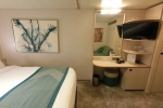 Interior Stateroom Picture