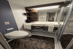 Ocean Stateroom Picture