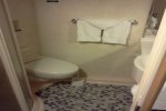 Promenade View Interior Stateroom Picture