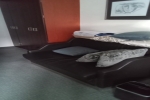 Signature Suite Stateroom Picture