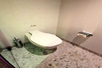 Brilliant Suite Stateroom Picture