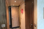 Deluxe Oceanview Stateroom Picture