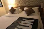Interior Stateroom Picture