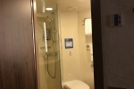 Interior Stateroom Picture