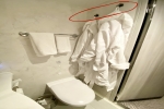 Deluxe Balcony Stateroom Picture