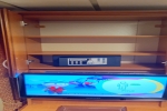Interior Stateroom Picture