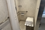 Deluxe Balcony Stateroom Picture