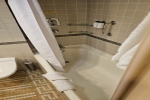 Mini-Suite Stateroom Picture