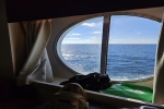 Oceanview Stateroom Picture