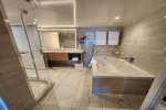 Penthouse Stateroom Picture