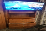 Penthouse Stateroom Cabin 8277. Picture