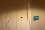 Atrium Promenade View Stateroom Picture