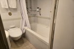 Mini-Suite Stateroom Picture