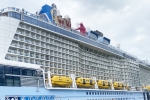 Quantum of the Seas Ship Picture  2