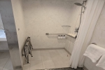 Deluxe Balcony Stateroom Picture
