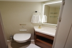 Deluxe Oceanview Stateroom Picture