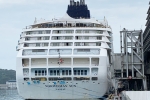 Norwegian Sun Ship Picture  3