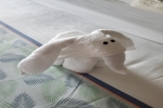 Cove Stateroom Cabin 2399. Picture