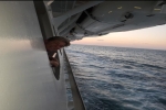 Cove Stateroom Cabin 2399. Picture