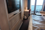 Verandah Stateroom Picture