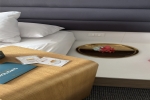 Sea Terrace Stateroom Picture