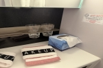 Sea Terrace Stateroom Picture