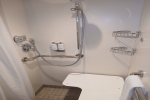 Deluxe Stateroom Cabin 10437. Picture